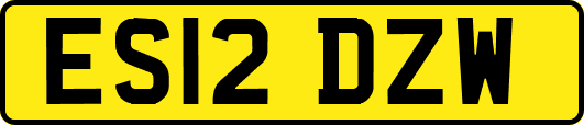 ES12DZW