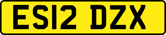 ES12DZX