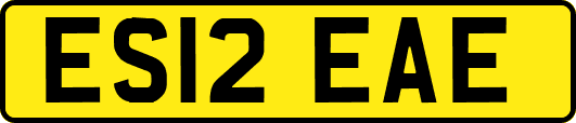 ES12EAE