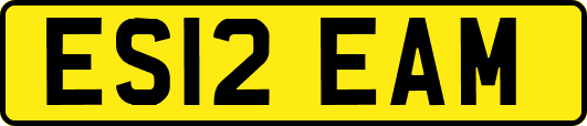ES12EAM