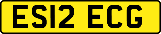 ES12ECG