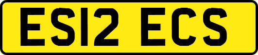 ES12ECS