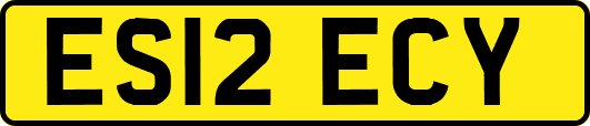 ES12ECY
