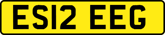ES12EEG
