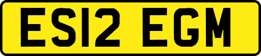 ES12EGM