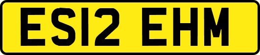 ES12EHM