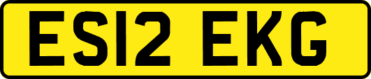 ES12EKG
