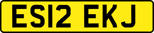 ES12EKJ