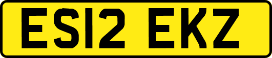 ES12EKZ