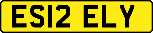 ES12ELY