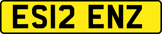 ES12ENZ