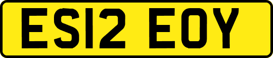 ES12EOY