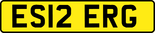 ES12ERG