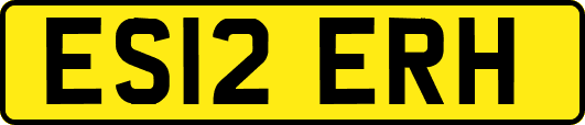 ES12ERH