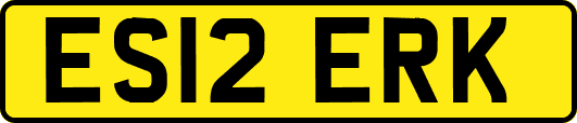 ES12ERK