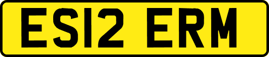 ES12ERM