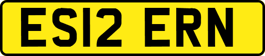 ES12ERN