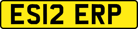 ES12ERP