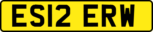 ES12ERW