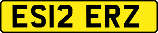 ES12ERZ