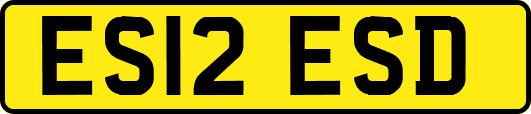 ES12ESD