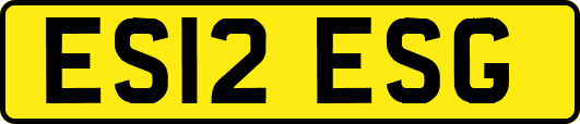 ES12ESG
