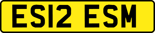 ES12ESM