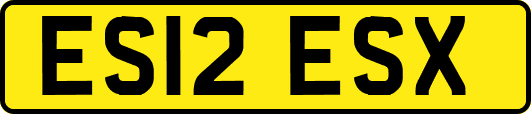 ES12ESX