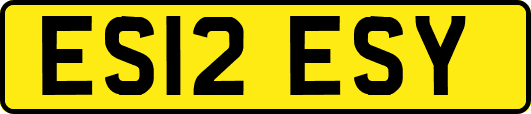 ES12ESY