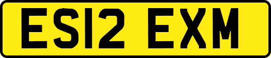 ES12EXM