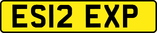 ES12EXP