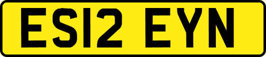 ES12EYN