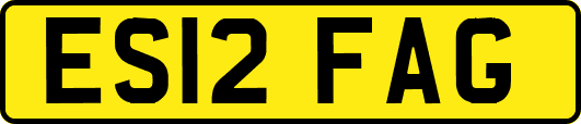 ES12FAG