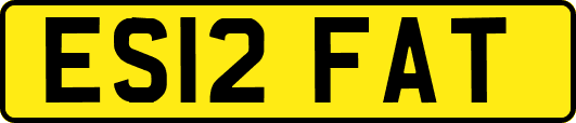 ES12FAT