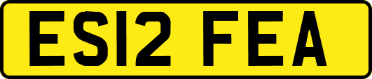 ES12FEA