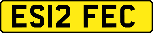 ES12FEC