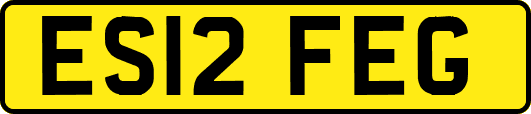 ES12FEG