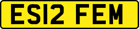 ES12FEM