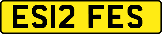 ES12FES