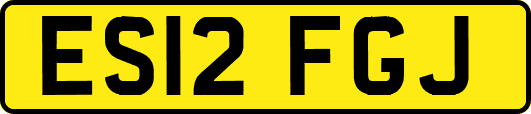 ES12FGJ