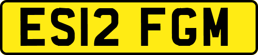 ES12FGM