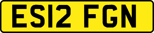 ES12FGN