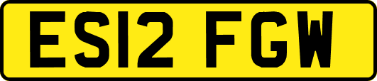 ES12FGW