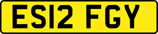 ES12FGY