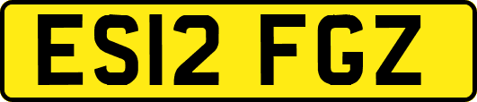 ES12FGZ