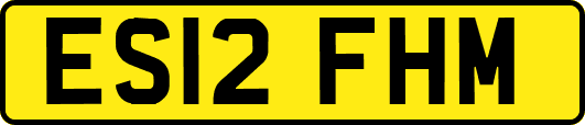 ES12FHM