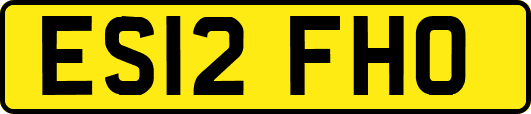 ES12FHO