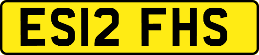 ES12FHS