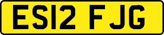 ES12FJG