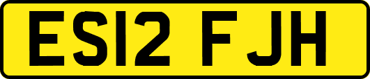 ES12FJH